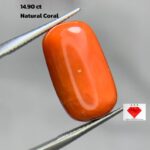 Natural Coral Gemstone: 14.90ct Red Coral, Unique Dimensions