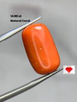 Natural Coral Gemstone: 14.90ct Red Coral, Unique Dimensions
