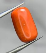 Natural Coral Gemstone: 14.90ct Red Coral, Unique Dimensions - Image 2