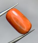 Natural Coral Gemstone: 14.90ct Red Coral, Unique Dimensions - Image 3