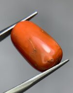 Natural Coral Gemstone: 14.90ct Red Coral, Unique Dimensions - Image 4