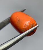 Natural Coral Gemstone: 14.90ct Red Coral, Unique Dimensions - Image 5