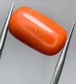 Natural Coral Gemstone: 14.90ct Red Coral, Unique Dimensions - Image 7