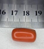 Natural Coral Gemstone: 14.90ct Red Coral, Unique Dimensions - Image 8