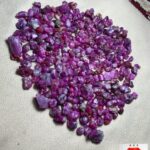 1113 Carat Afghan Ruby Rough Lot – A Rare Statement of Natural Intensity