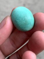 Vibrant 33.10ct Afghan Turquoise Cabochon - Image 2