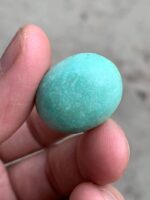 Vibrant 33.10ct Afghan Turquoise Cabochon - Image 3