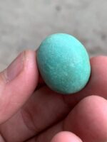 Vibrant 33.10ct Afghan Turquoise Cabochon - Image 4