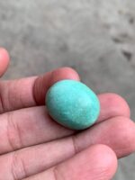 Vibrant 33.10ct Afghan Turquoise Cabochon - Image 6