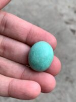 Vibrant 33.10ct Afghan Turquoise Cabochon - Image 7