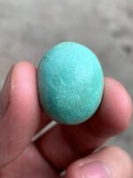 Vibrant 33.10ct Afghan Turquoise Cabochon - Image 10
