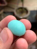 The Allure of Afghan Turquoise: A 25.67 ct Marvel - Image 2