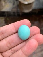 The Allure of Afghan Turquoise: A 25.67 ct Marvel - Image 3