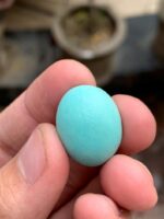 The Allure of Afghan Turquoise: A 25.67 ct Marvel - Image 4