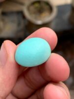 The Allure of Afghan Turquoise: A 25.67 ct Marvel - Image 5