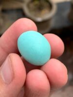 The Allure of Afghan Turquoise: A 25.67 ct Marvel - Image 6