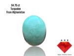 The Allure of a 54.75 ct Afghan Turquoise: A Gemstone Portrait
