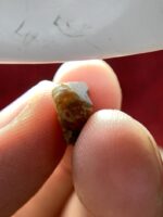 4.90 ct Natural Ruby Crystal – Afghanistan - Image 6