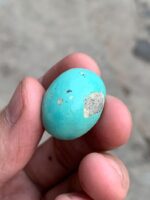 Afghan Turquoise Cabochon Gemstone: 36.89 ct, Sky Blue Soul - Image 6