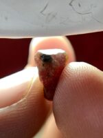 4.90 ct Natural Ruby Crystal – Afghanistan - Image 9