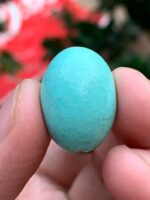 A Majestic 24.35 ct Afghan Turquoise – 23.80 × 16.80 × 11.47 mm - Image 12