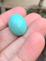 A Majestic 24.35 ct Afghan Turquoise – 23.80 × 16.80 × 11.47 mm - Image 3
