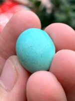 A Majestic 24.35 ct Afghan Turquoise – 23.80 × 16.80 × 11.47 mm - Image 6
