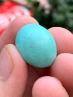 A Majestic 24.35 ct Afghan Turquoise – 23.80 × 16.80 × 11.47 mm - Image 7