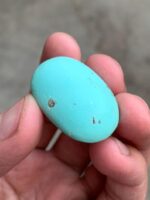 A 47.20-Carat Afghan Turquoise Cabochon — Large, Vivid, and Collector-Worthy - Image 5