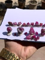 335 Carat Ruby Specimens from Afghanistan – A Remarkable Natural Gem - Image 11