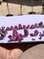 335 Carat Ruby Specimens from Afghanistan – A Remarkable Natural Gem - Image 12