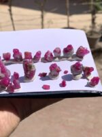 335 Carat Ruby Specimens from Afghanistan – A Remarkable Natural Gem - Image 13