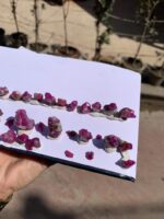 335 Carat Ruby Specimens from Afghanistan – A Remarkable Natural Gem - Image 8