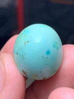 35.45ct Natural Afghan Turquoise – Bold Beauty with Desert Origins - Image 6