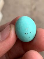 23.35 ct Afghan Turquoise Cabochon: Bold Presence With Classic Afghan Elegance - Image 3