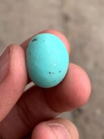 23.35 ct Afghan Turquoise Cabochon: Bold Presence With Classic Afghan Elegance - Image 12