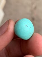 23.35 ct Afghan Turquoise Cabochon: Bold Presence With Classic Afghan Elegance - Image 4