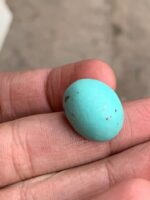 23.35 ct Afghan Turquoise Cabochon: Bold Presence With Classic Afghan Elegance - Image 6