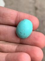 23.35 ct Afghan Turquoise Cabochon: Bold Presence With Classic Afghan Elegance - Image 7