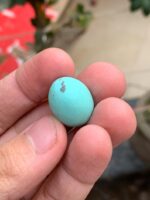 23.20ct Afghan Turquoise Spotlight Gemstone of Distinction - Image 2