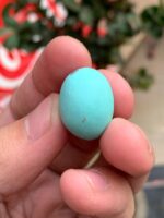 23.20ct Afghan Turquoise Spotlight Gemstone of Distinction - Image 11