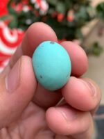 23.20ct Afghan Turquoise Spotlight Gemstone of Distinction - Image 12