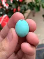 23.20ct Afghan Turquoise Spotlight Gemstone of Distinction - Image 5