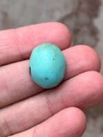 23.15-Carat Afghan Turquoise: A Gem of Bold Presence and Timeless Beauty - Image 4