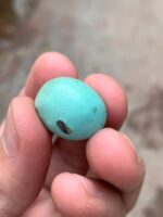 23.15-Carat Afghan Turquoise: A Gem of Bold Presence and Timeless Beauty - Image 5