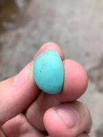 23.15-Carat Afghan Turquoise: A Gem of Bold Presence and Timeless Beauty - Image 9