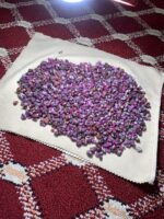 3656 Carat Afghan Ruby Rough Lot – Natural Red Crystal (12.55 × 10.28 × 7.20 mm) - Image 12