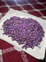 3656 Carat Afghan Ruby Rough Lot – Natural Red Crystal (12.55 × 10.28 × 7.20 mm) - Image 5