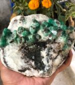 Emerald Specimen: 6940 ct from Chitral - Image 6
