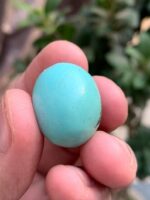 33.60-Carat Afghan Turquoise: A Majestic Gem of Color and Craftsmanship - Image 11